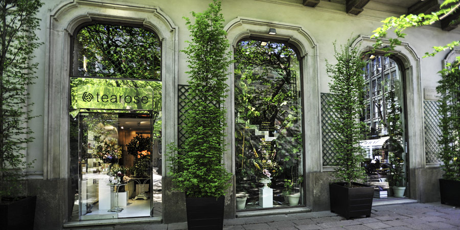 Boutiques - Tearose